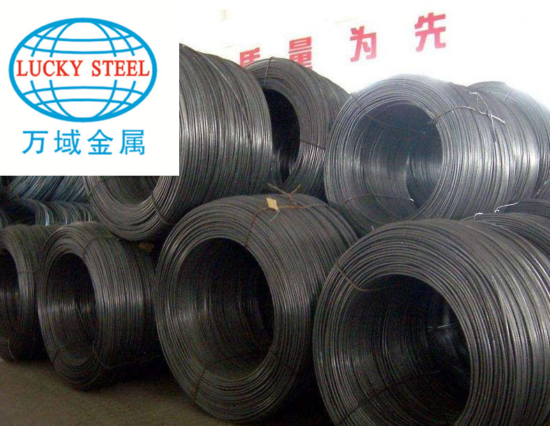 steel wire 5.JPG